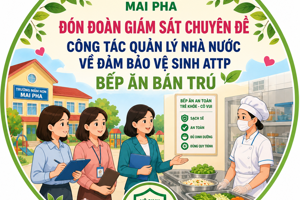 🌿 TRƯỜNG MẦM NON MAI PHA ĐÓN ĐOÀN GIÁM SÁT CHUYÊN ĐỀ CÔNG TÁC QUẢN LÝ NHÀ NƯỚC VỀ ĐẢM BẢO VỆ SINH ATTP BẾP ĂN BÁN TRÚ🌿